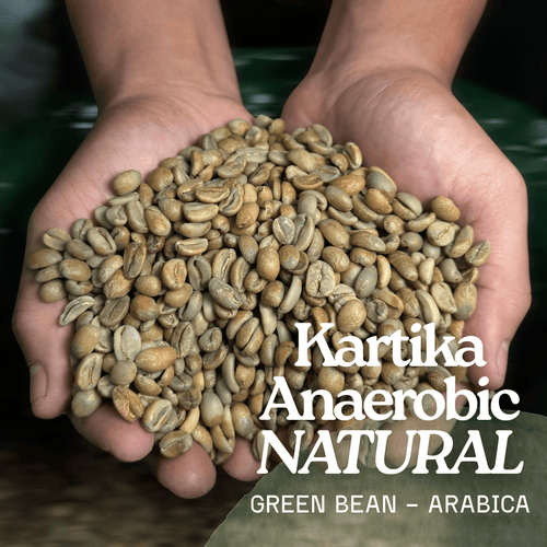 Green Bean Arabica Anaerobic Natural Regular Lot Flores Manggarai - 1kg