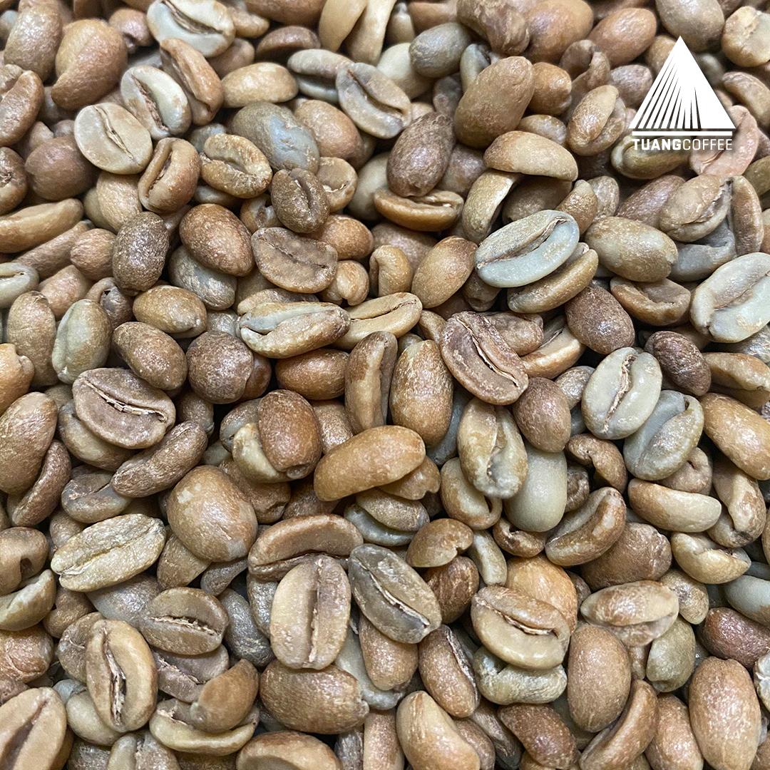 Green Bean Arabica Yellow Caturra Flores Manggarai - 1kg