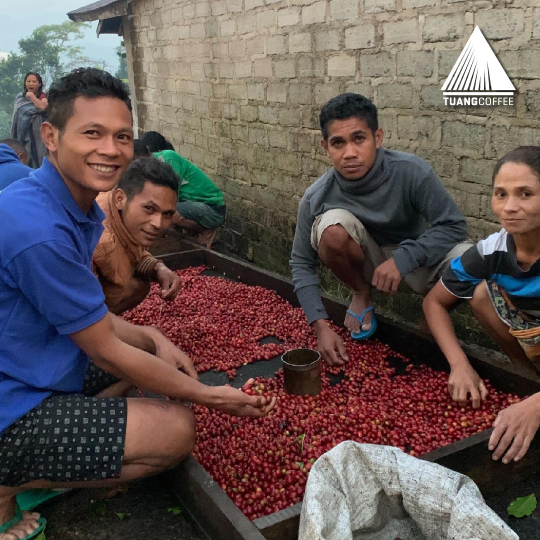 Green Bean Arabica Anaerobic Washed Flores Manggarai - 1kg