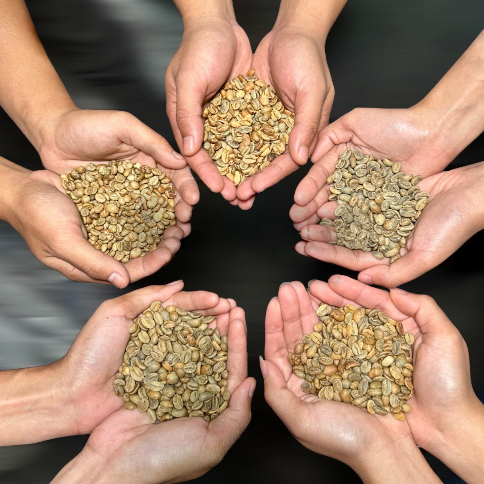 Green coffee beans held in many hands